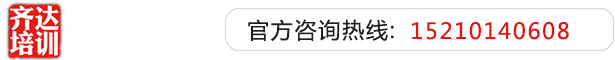 啊啊啊干我网站齐达艺考文化课-艺术生文化课,艺术类文化课,艺考生文化课logo